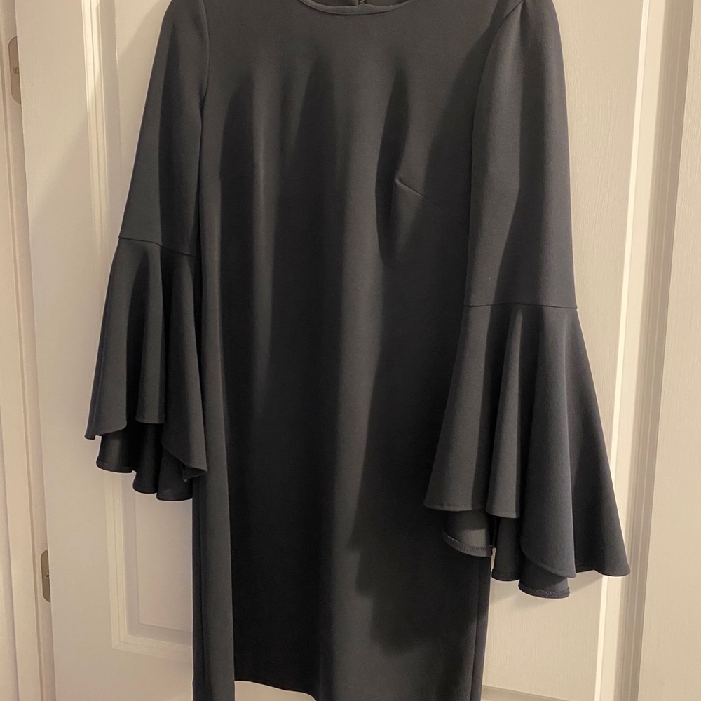 Bell sleeved dress